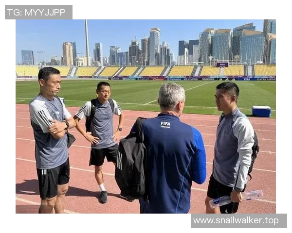 中国足球裁判首次执法欧战，国际足联高度评价